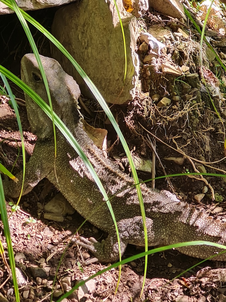 Entry by Matthew Tyler