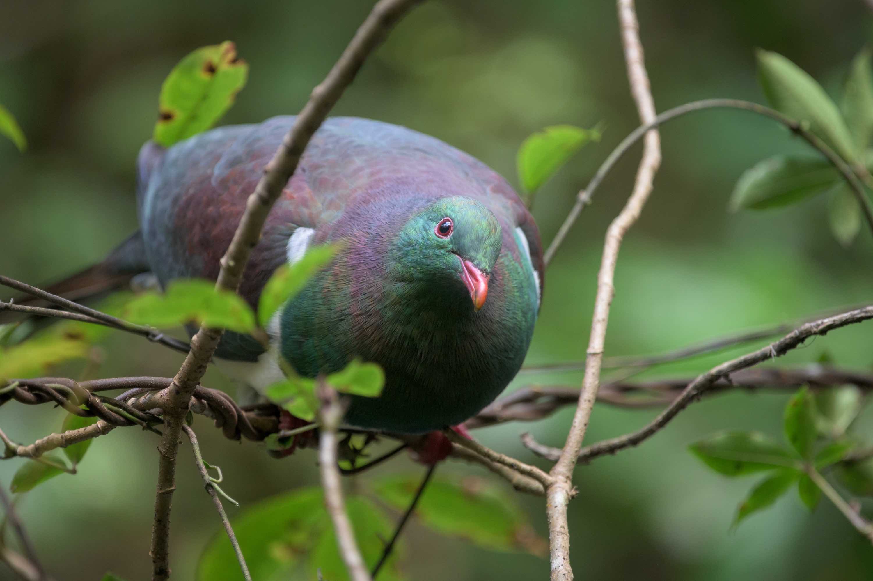 TimCuff - Hi Vis 13 on bridge waving