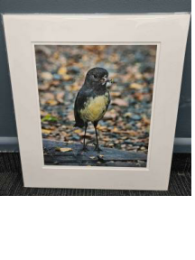 Entry by Matthew Tyler